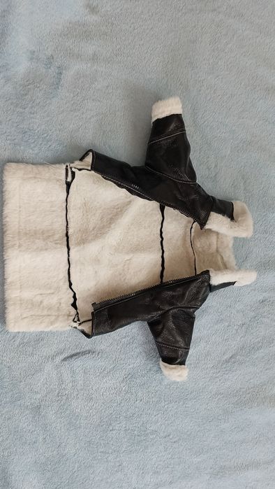 Одежда для собак