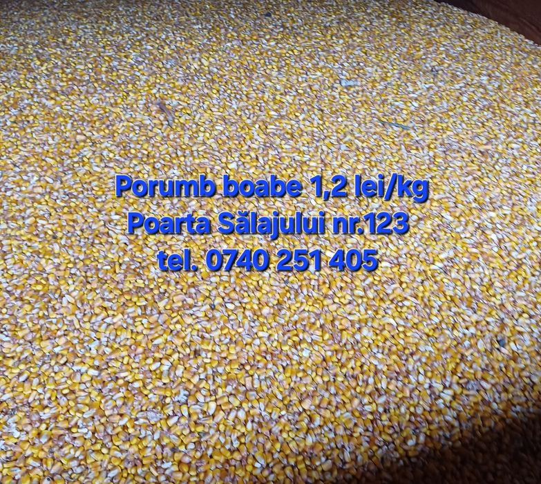 Vând cartofi 3 lei/kg si porumb 1,2 lei/kg