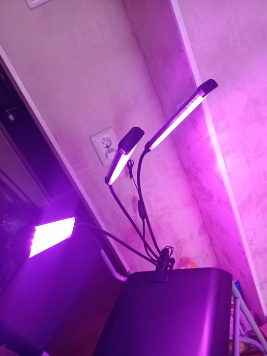 Фитолампы 60 Вт  40ВТ