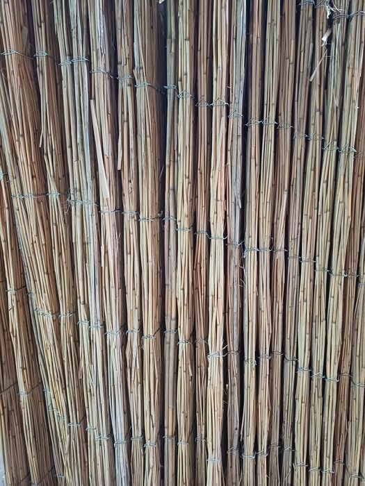 Panouri gard din stuf