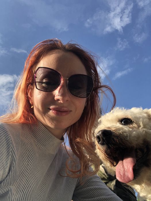 Cazare caini talie mica si medie