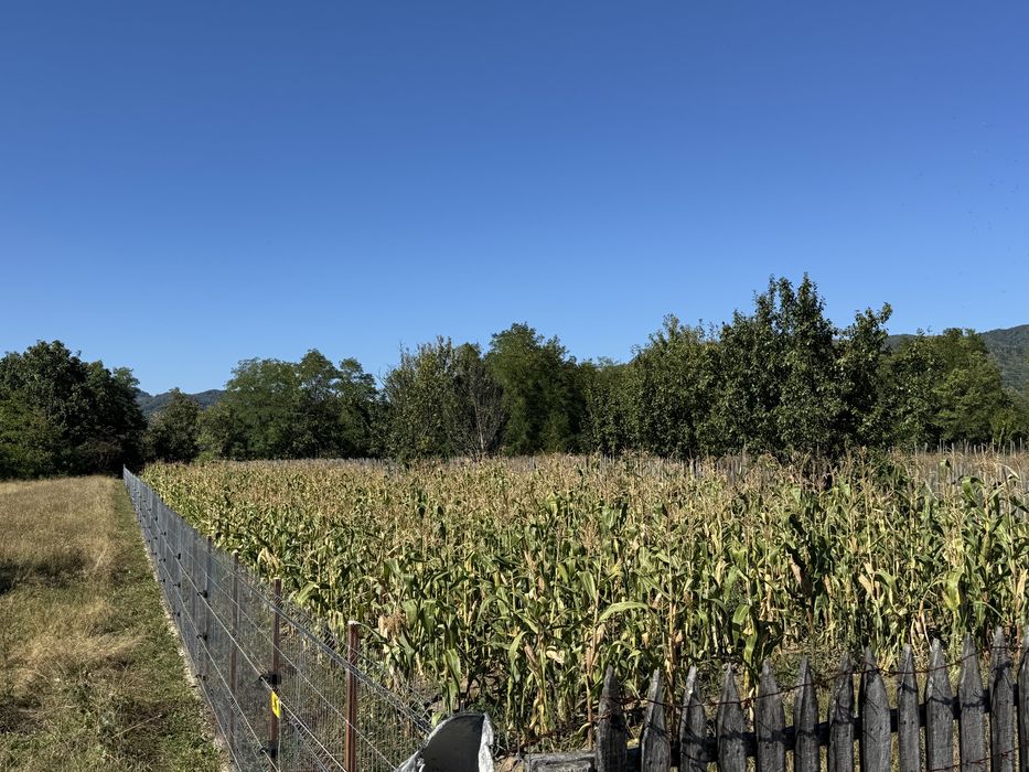 Teren intravilan de vanzare