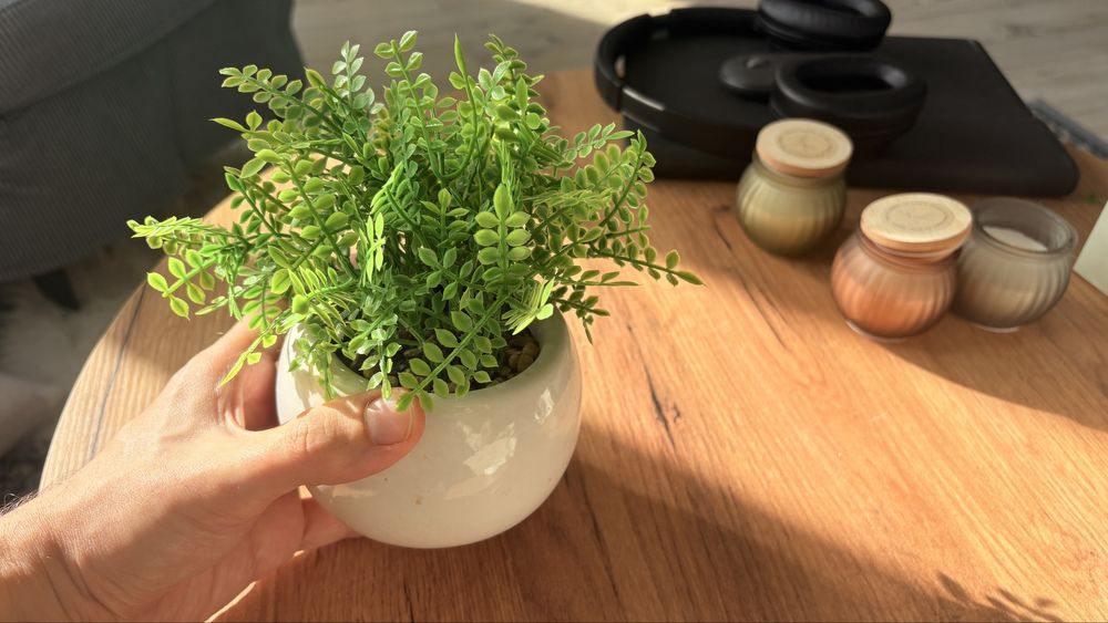 Planta Artificiala Mica – Ghiveci Alb Ceramic, Stil Modern “Pepco”