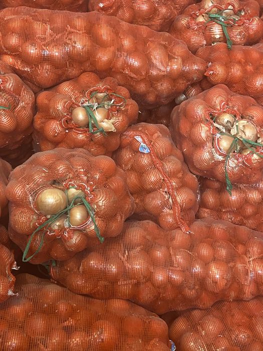 Лук на посадку Стардаст Каратал Шалот