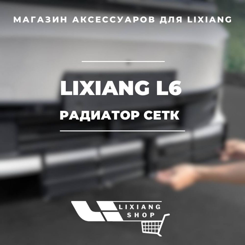 Сетка радиатора для Li6 от «LixiangShop»