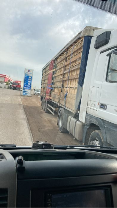 Пчелы пчелопакеты