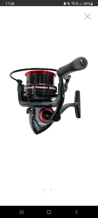 Mulineta și lansete cat fish