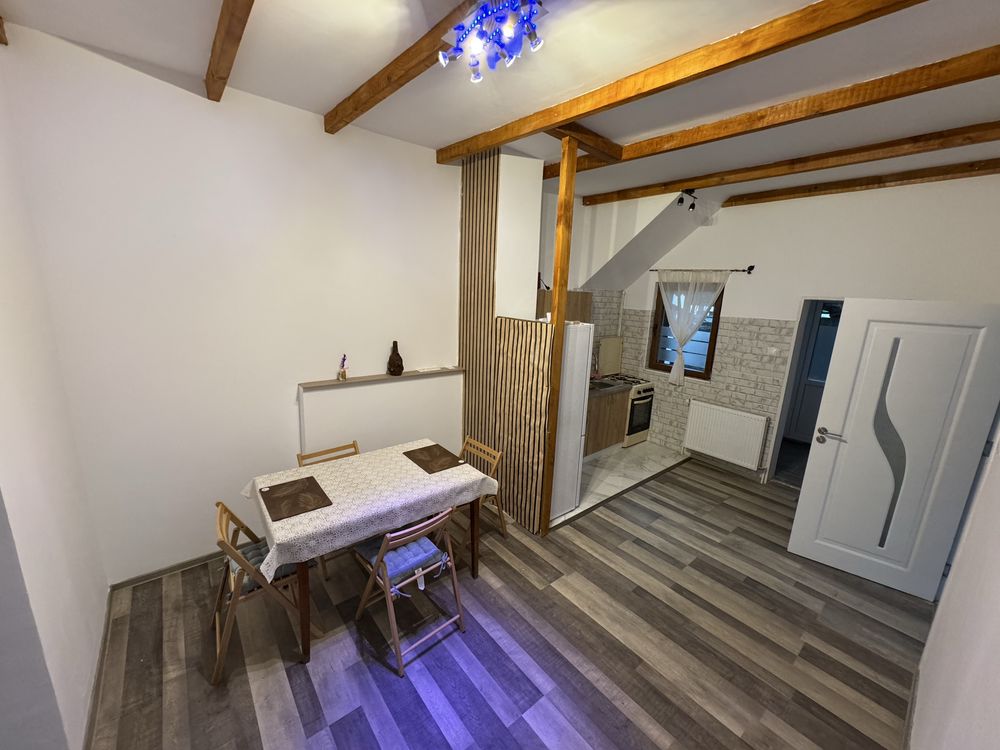 Apartament 3 camere cu gradina
