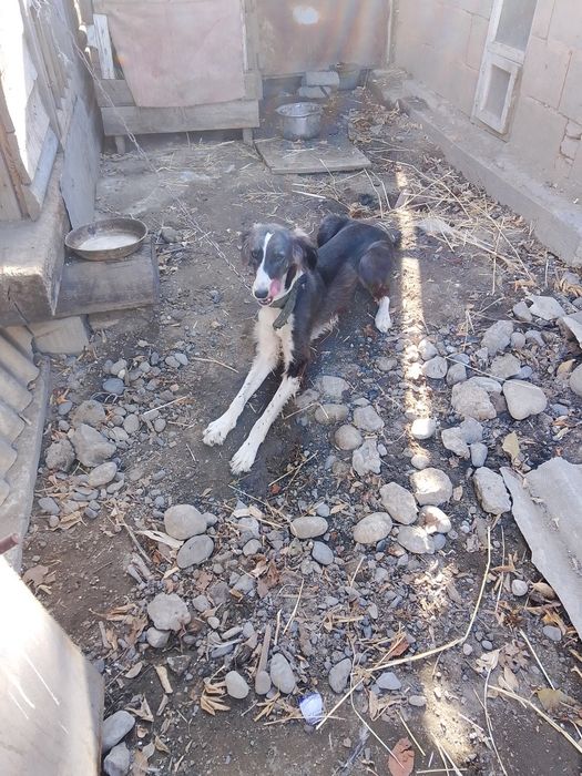 Чччччччччччччччч