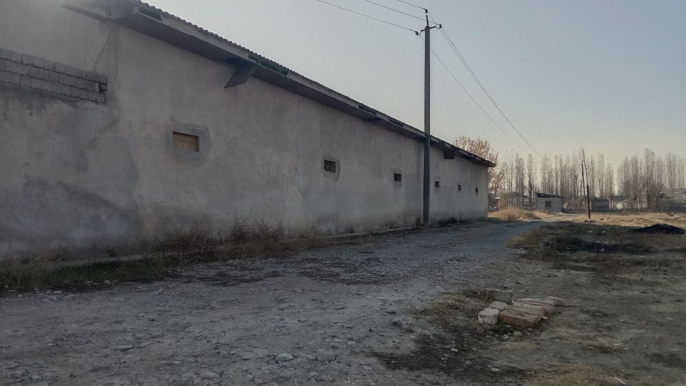 Uchastka, ferma sotiladi