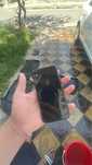 Iphone x  256gb yomkost 100