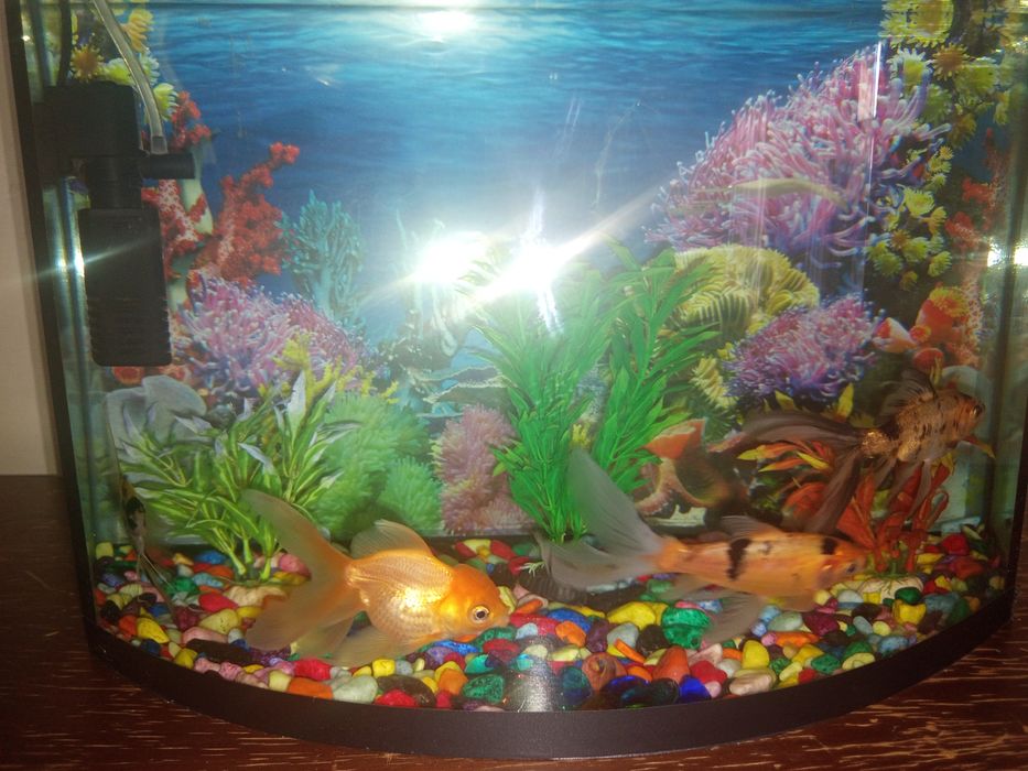 Аквариум 40 литр