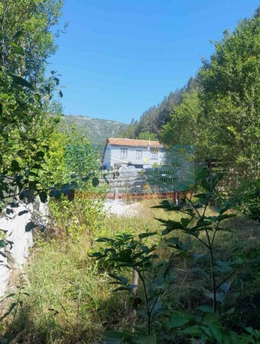 Къща в гр. Трън - 75 м², двор - 2700 м²