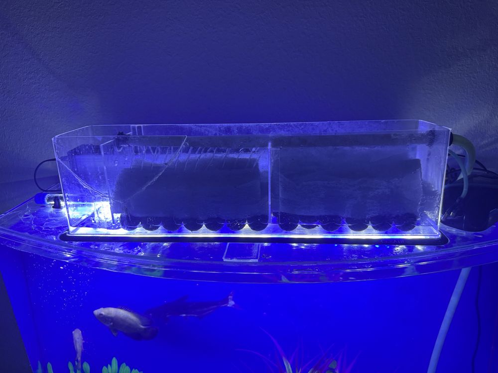 Akvarium Akril. Cleair Aquatics zavodi akvariumi. 230-250l atrofida.