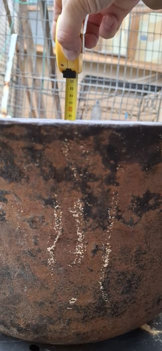 Ceaun mare Tuci mare