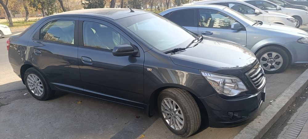 Kobalt ravon 2019 mokriy kraska toza