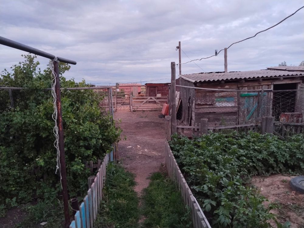 Продается дом село Жалгызкарагай