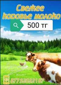 Продаётся коровье молоко 1 литр 500 тенге