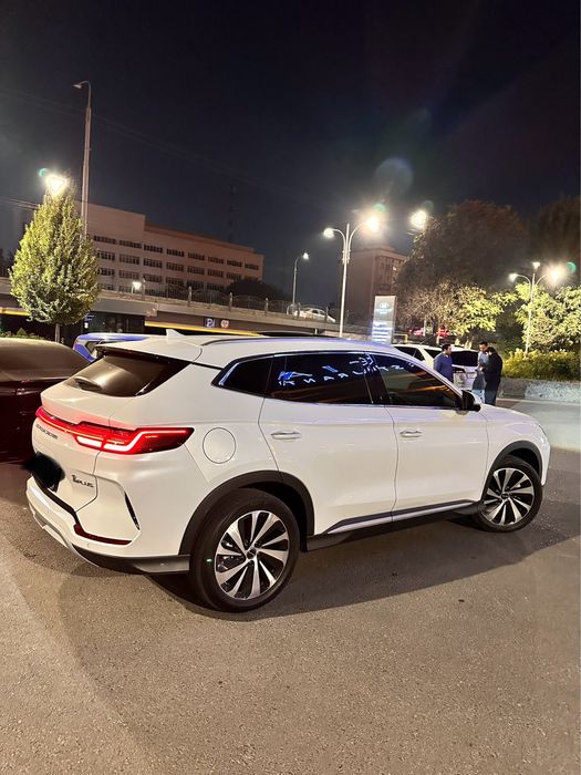 BYD Champion Gibrit