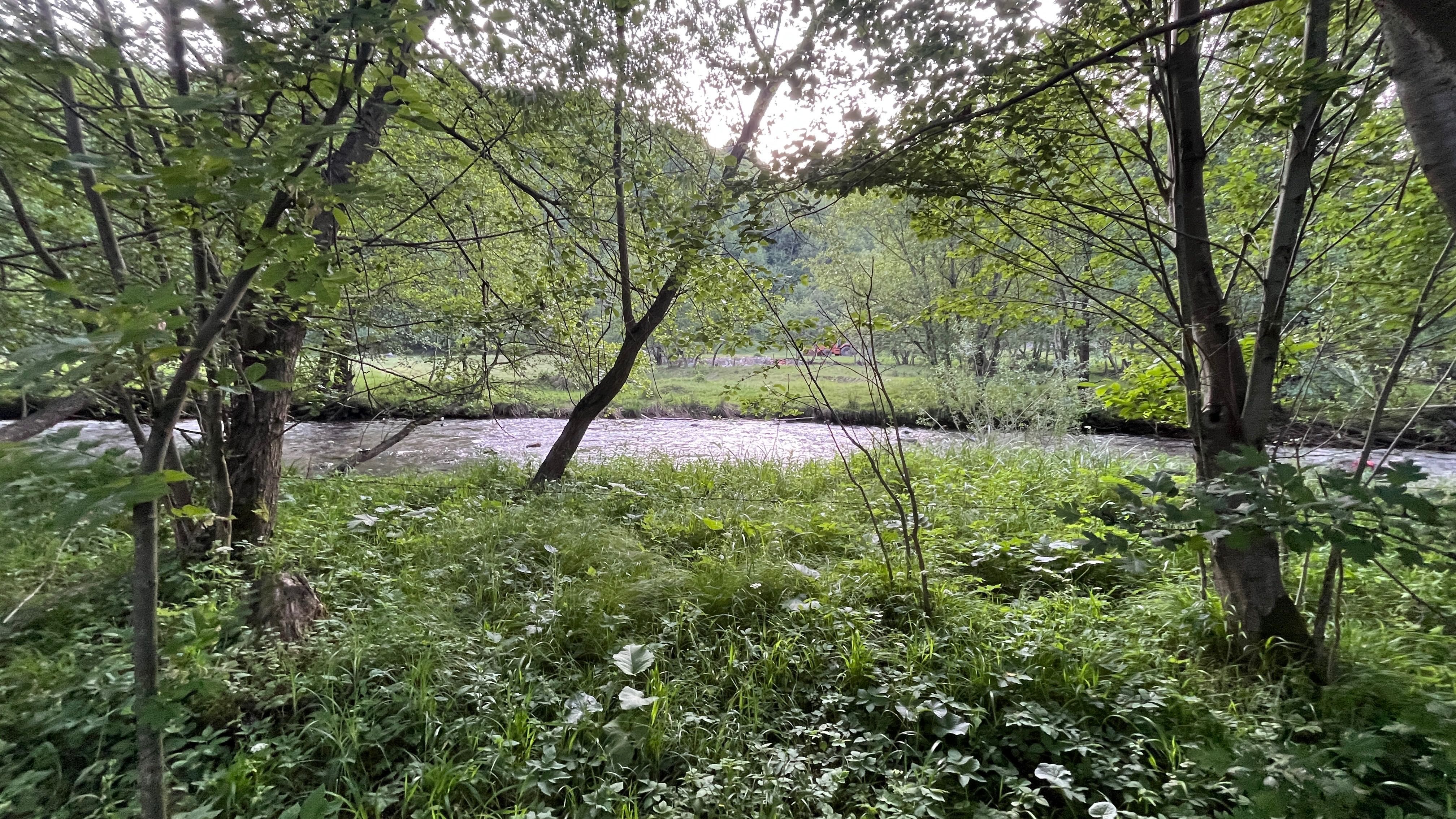 Teren  intravilan 1000 m2 ,cu acces la vale ,în Valea Drăganului
