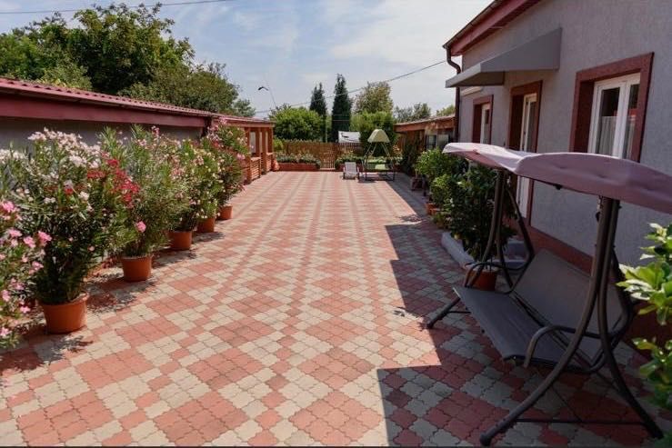 Casă deosebită  cu terasă + grădină şi livadă de VIS