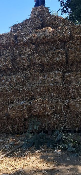 Vând baloți coceni!!