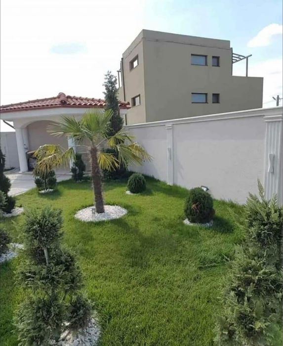 Plante ornamentale de diferite varietatii