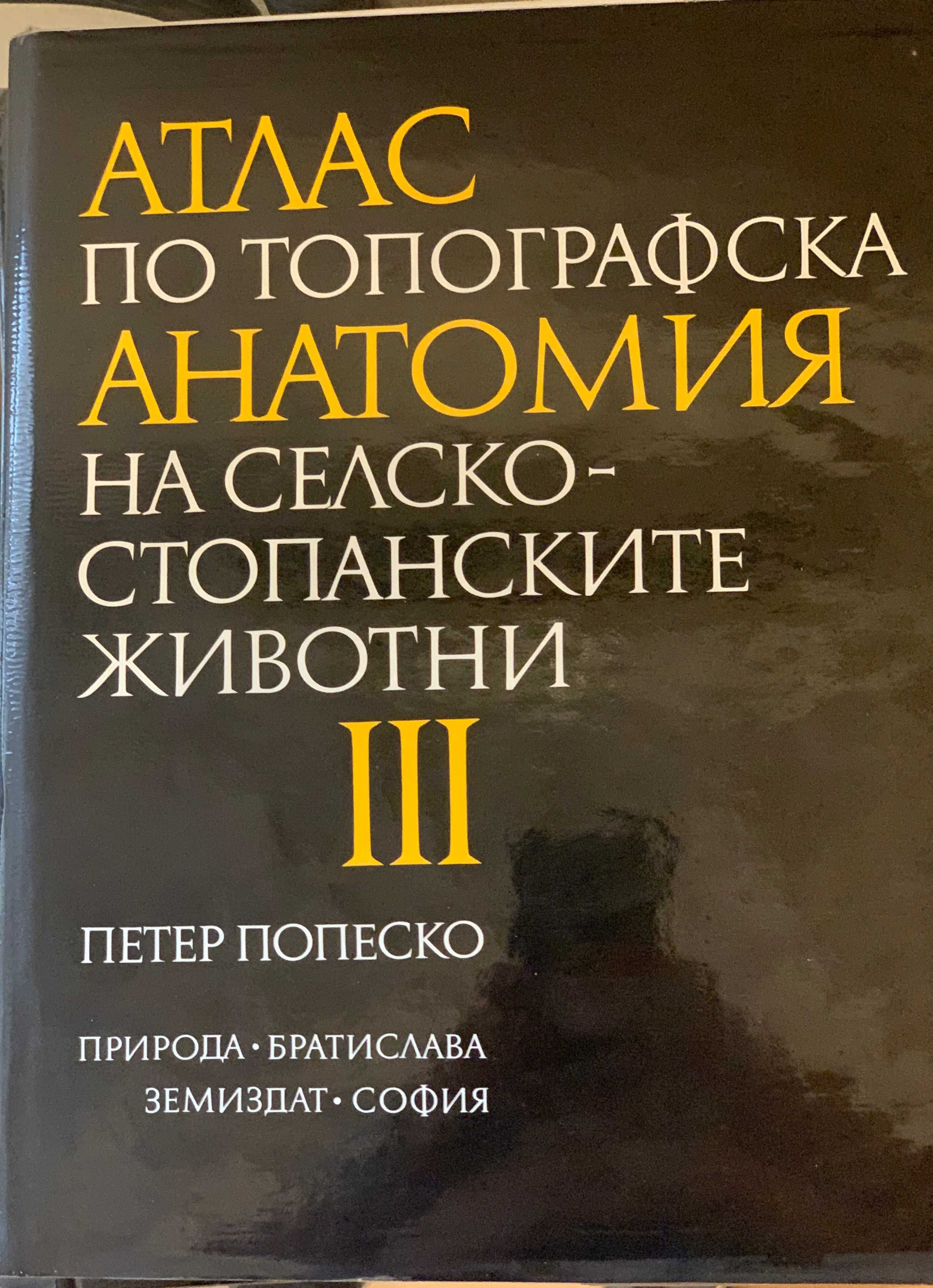 Атласи по топографска анатомия - Петер Попеско