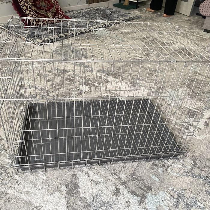 Qafas Sotiladi Katta Qushlar