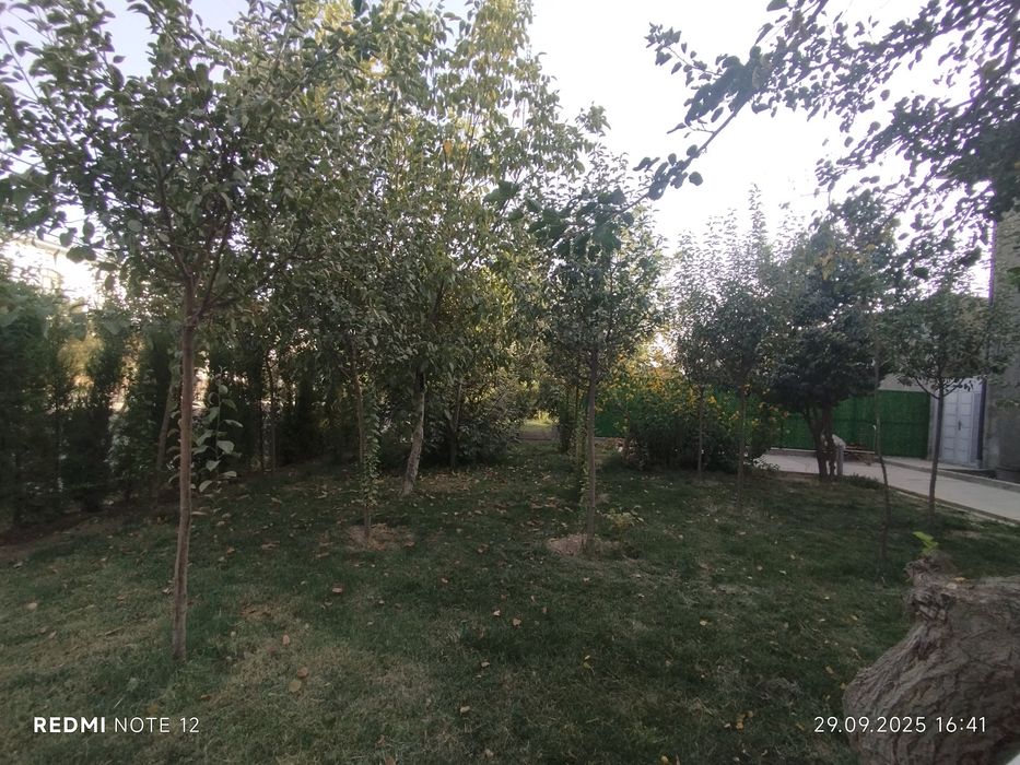 Аренда богча клиника офис