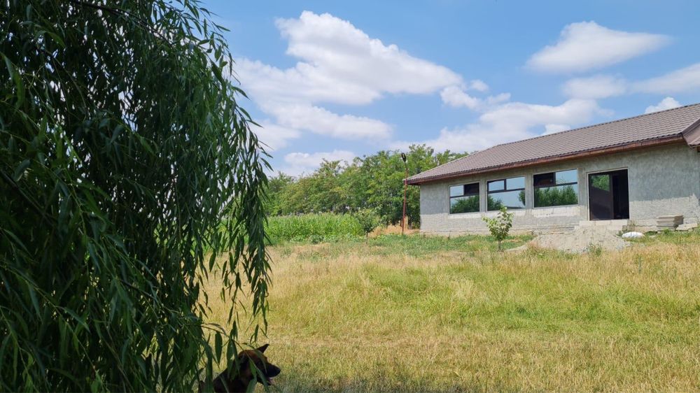 Balta peste, balta populata, luciu de apa