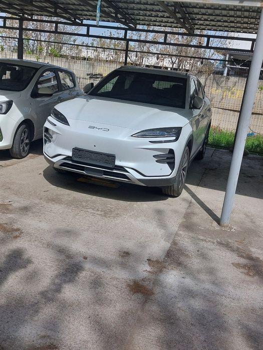 BYD chempion 605km 2023