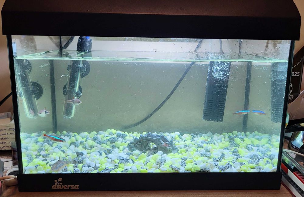 Аквариум с помпа и лампа 40/25/26