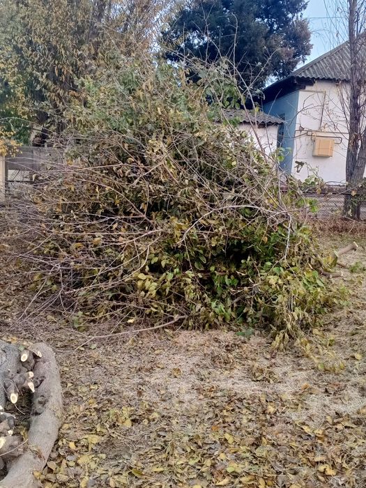 Внимание акция Диккат акция Утсин сотилади Кишни совук кунларига утсин