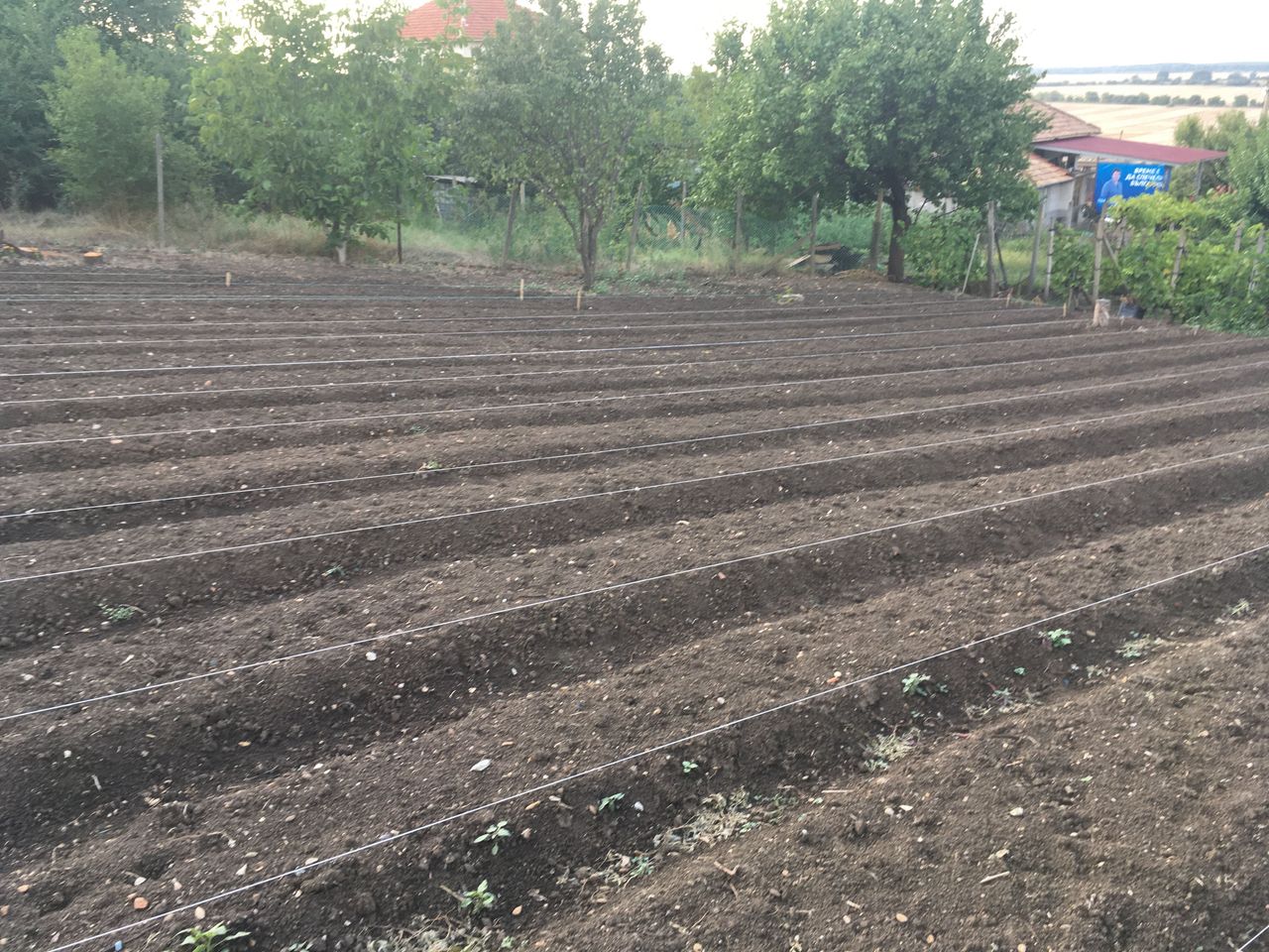 Продава се Парцел в Силистра, Изток - 1300 кв.м за 6 €/кв.м - Снимка #3