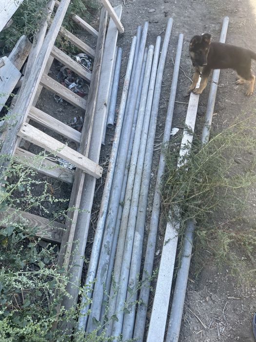 Продается оцинкованные трубы