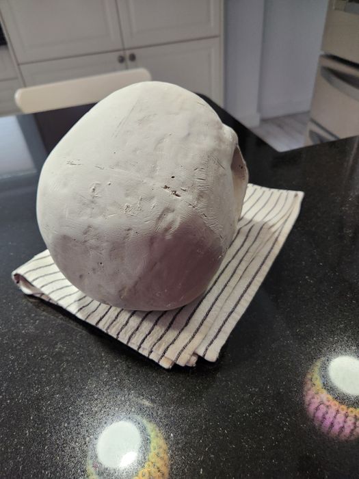 Гипсови череп в реален размер за рисуване