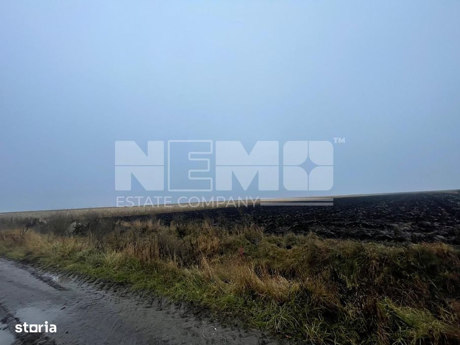 Teren Extravilan | Doua Parcele| 70 Ari| Ideal Agricol| Calafindesti