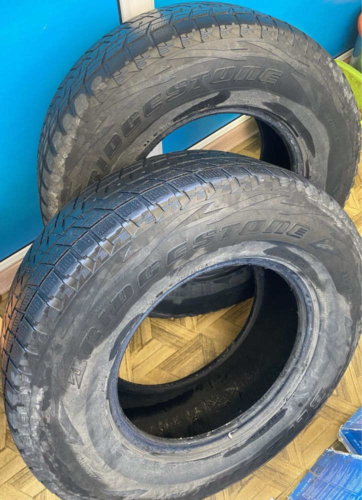 Шины Bridgestone Blizzak DM-V1