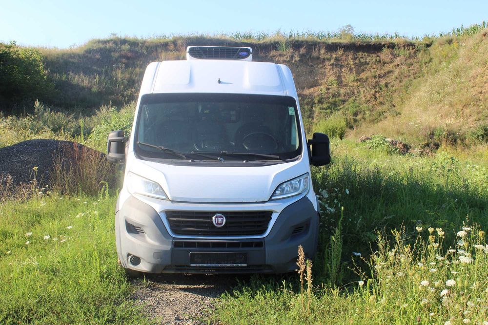 Fiat Ducato frigo