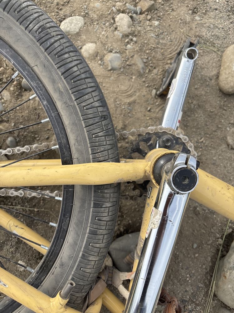 Bmx forward zigzag 20 2020