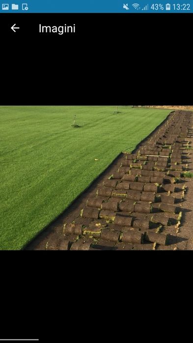 Vând gazon rulou transport si montez in toata țara