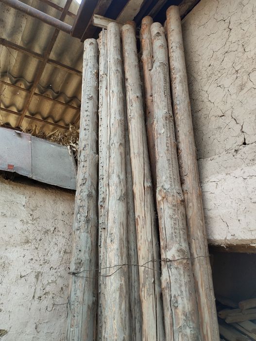 Срочно сосна тусин кругляк сотилади