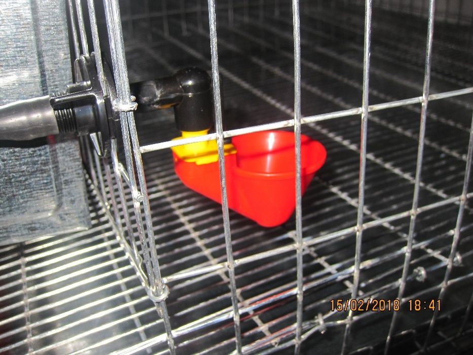 cusca 80 prepelite+adapatori automate