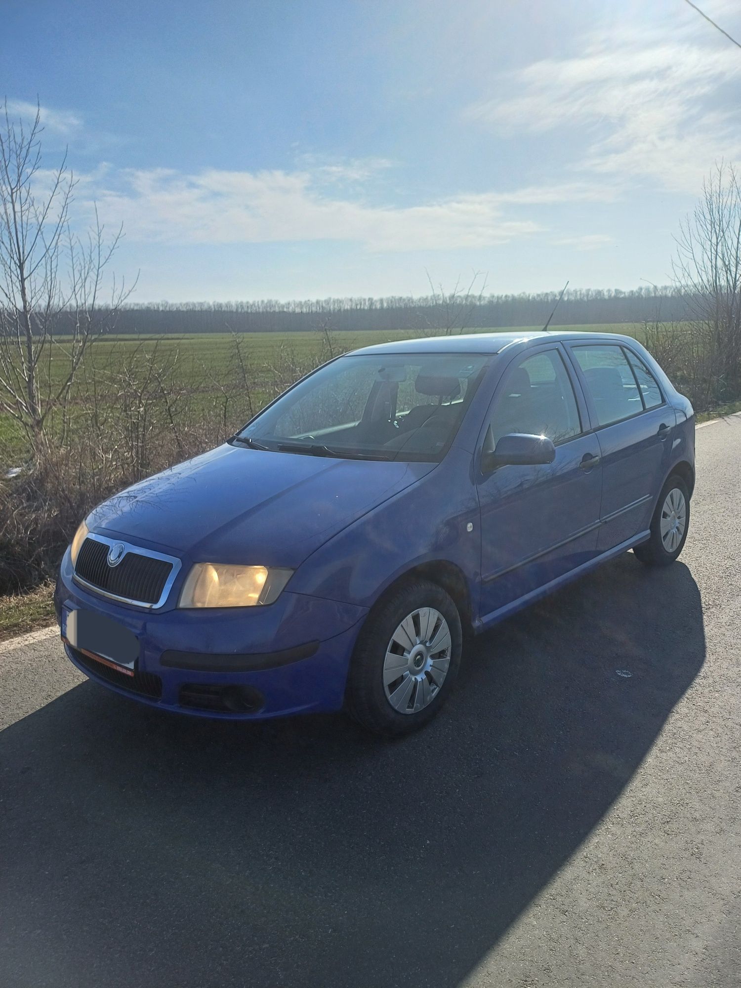 Škoda Fabia 2005 1.4 Tdi.