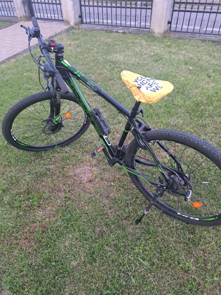 Bicicleta Adult