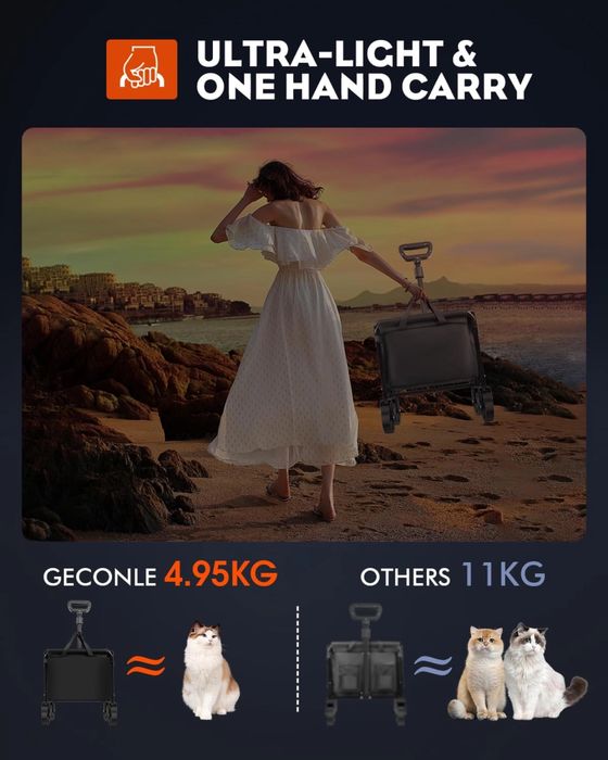 Carucior transport role - troller