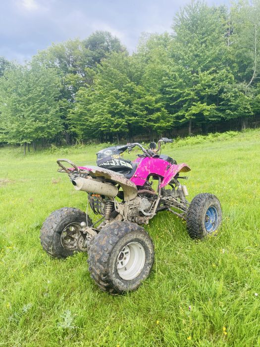 Vand atv bashan 250!