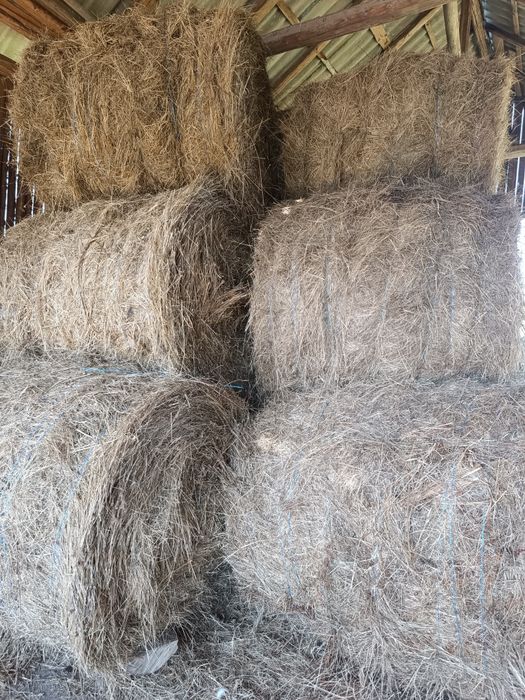 Baloți rotunzi de vânzare!