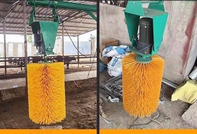 Корамоллар учун чисалка